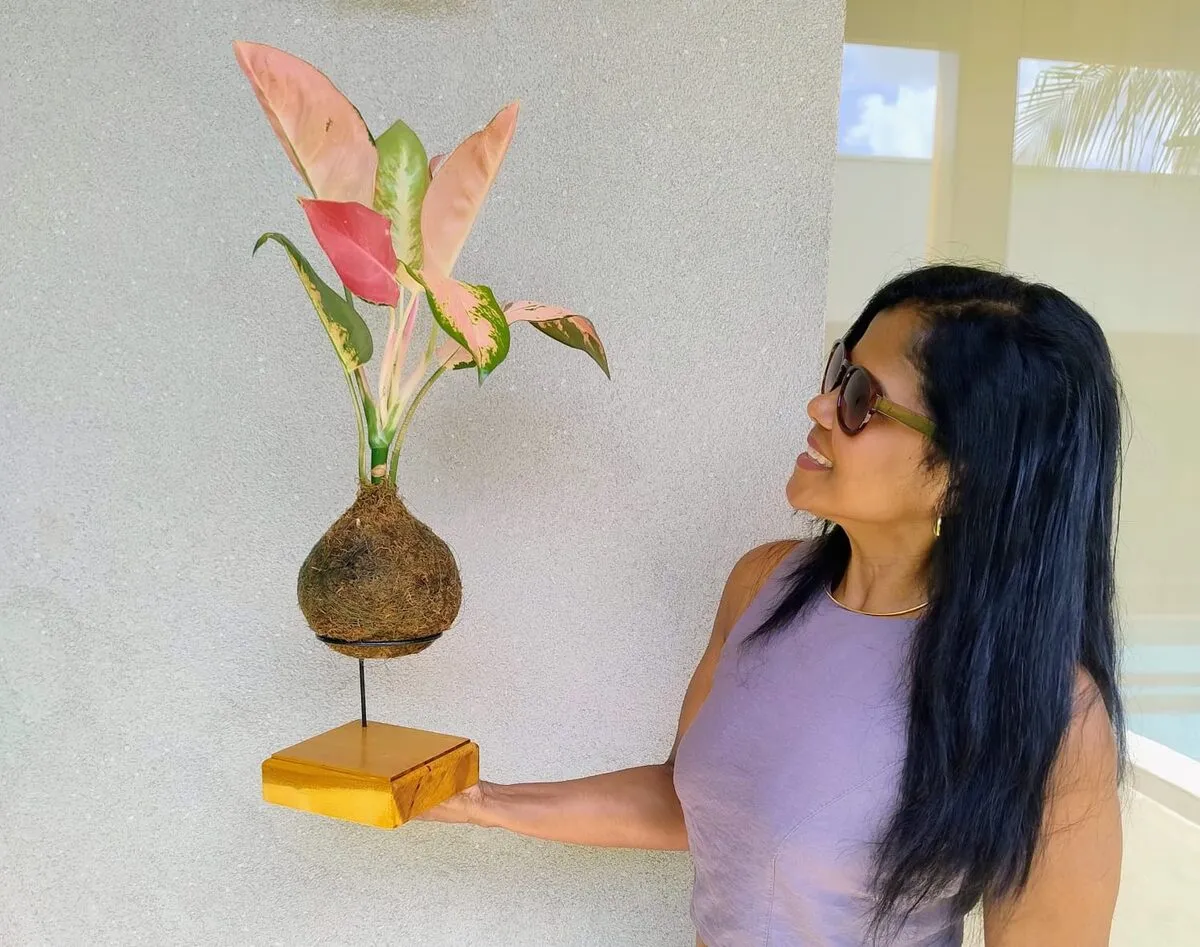 Orquídea